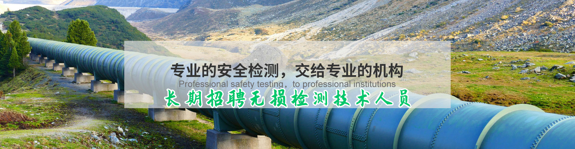 专业的安全阀检测